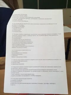 Обж первый курс