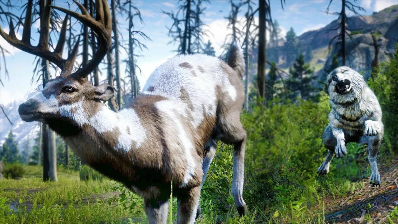 Rdr животные