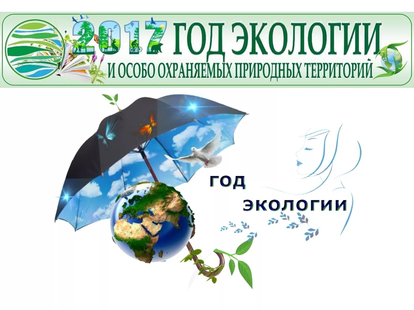 название экологической команды. 1 сентября, посвящённое году экологии. 100 лет экологии. 2022 год в россии объявлен годом э. год экологии.