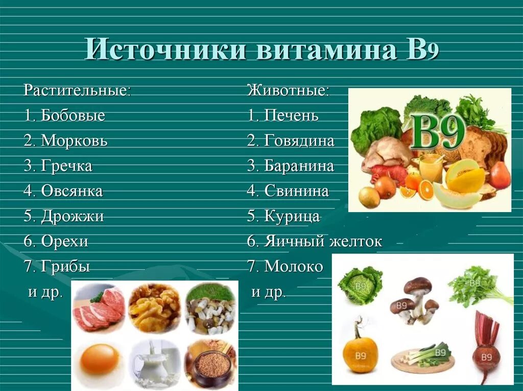 Витамин в 8 в продуктах. Источники витамина в12 таблица. Витамин б9 содержится. Источники витамина в9. Источники витамина в9 в12.