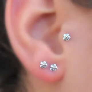 Серьга для козелка