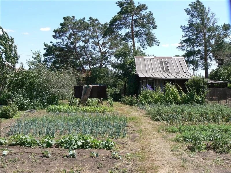 снт южный урал