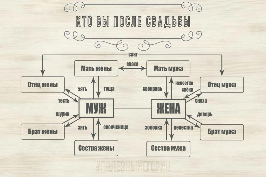 Кем приходится отец мужа отцу жены. Схема родственных связей. Схема родственных отношений в семье. Название родственных связей в семье. Родная сестра супруга