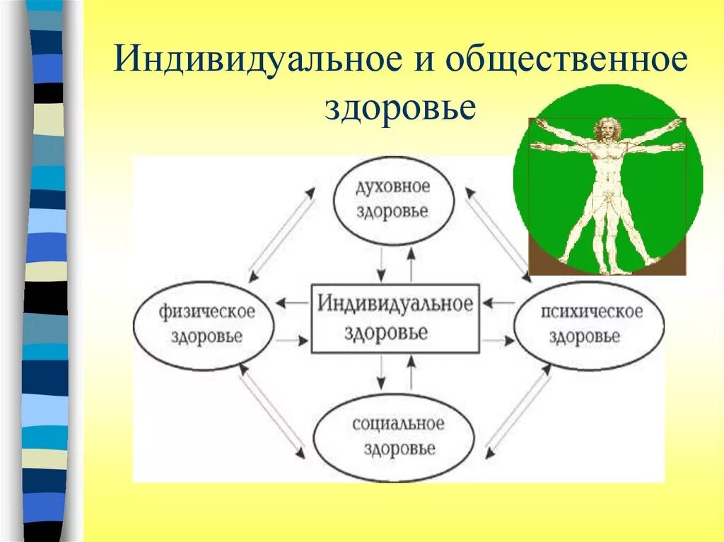 Индивидуальное и Общественное здоровье человека. Взаимосвязь общественного и индивидуального здоровья. Составляющие общественного здоровья. Индивидуальное здоровье. Общество здоровье 3