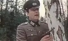 Шел 19 год
