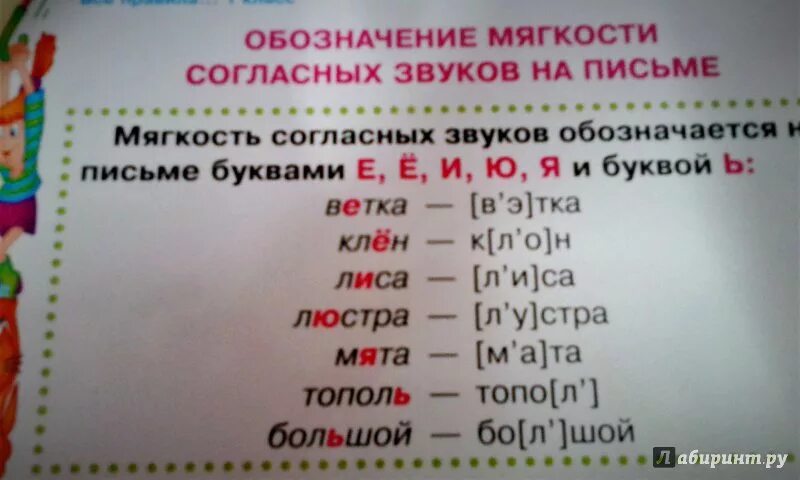 Слова указывающие на мягкость предшествующего согласного звука. Обозначение мягкости согласных звуков на письме.