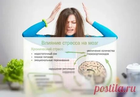 Анализатор рецептов