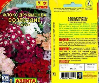 Посадка флокса многолетнего семенами