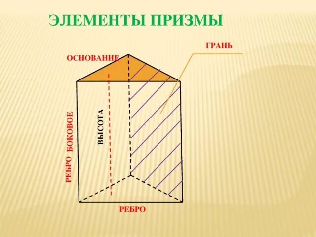 Сколько боковых граней имеет призма. Треугольная Призма основные элементы. Призма основания боковые грани боковые ребра. Треугольная Призма вершины ребра грани. Грань Призмы ребра и основания треугольной.