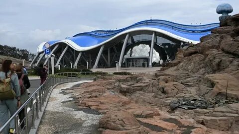 Океанариум во владивостоке на острове русском