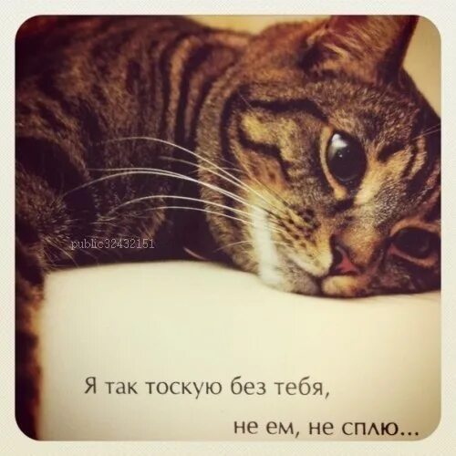 Очень скучаю тут так сыро без тебя. Я так тоскую. мне без тебя не спалось. скучаю и тоскую без тебя. я тоскую по тебе.