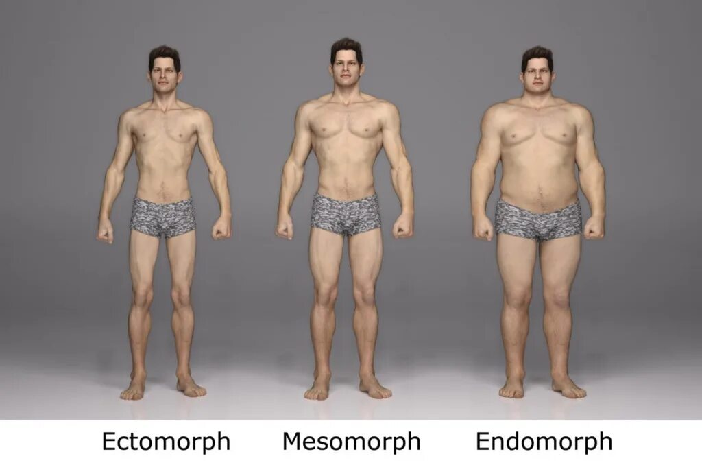 Среднее телосложение фото. Эктоморф мезоморф и эндоморф. Эктоморф мезоморф и эндоморф мужчины. Типы телосложения у мужчин мезоморф. Эктоморф эндоморф некроморф.