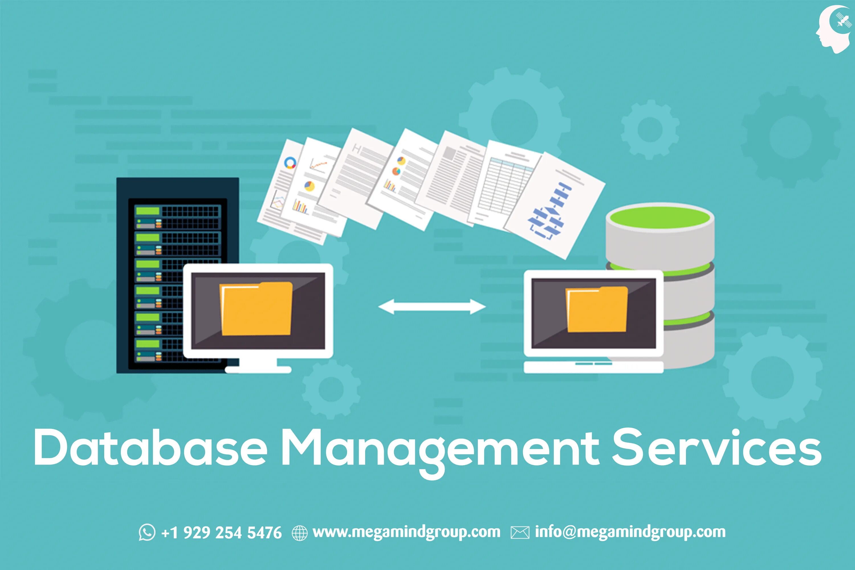 Database migration failed