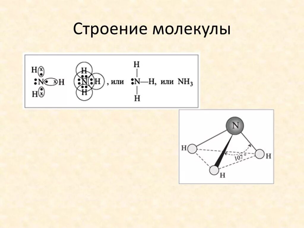 Nh 3 связь. Строение молекулы аммиака 9 класс химия. Схема образования молекул воды и аммиака. Строение молекулы аммиака. Строение молекулы аммиака 9 класс.