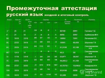 Анализ промежуточной по русскому языку