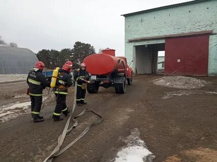 Погода в хотимске на неделю