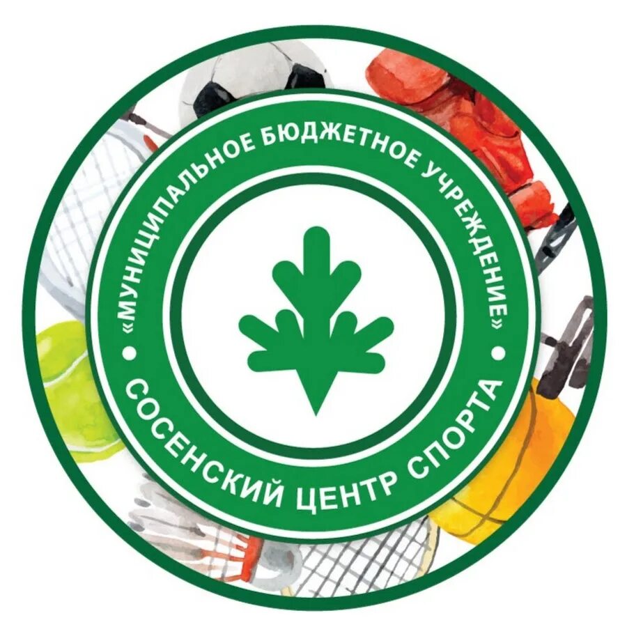 Архитектурный проект. Спортивный центр поселения. Голландия архитектура спортсооружения. Общественные здания. Спортзал на сосенском.
