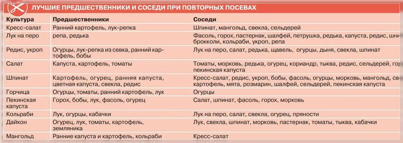 Можно ли сажать лук после капусты. Лучшие предшественники овощей. Лучшие предшественники для капусты. Лучшие предшественники для культур. Предшественники для посадки.