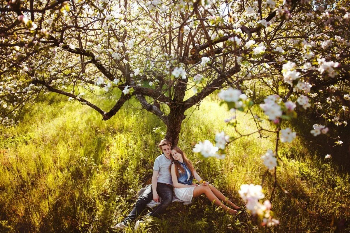 Пара яблонь. Фотосессия в цветущих деревьях. Фотосессия с цветущими деревьями. Влюбленные подтдеревом. Влюбленные под деревом.