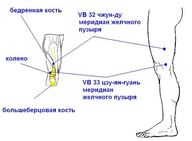 Ноет нога выше колена. Чжун Ду точка. Наружная поверхность бедра. Точки канала желчного пузыря. Меридиан желчного пузыря на стопе.