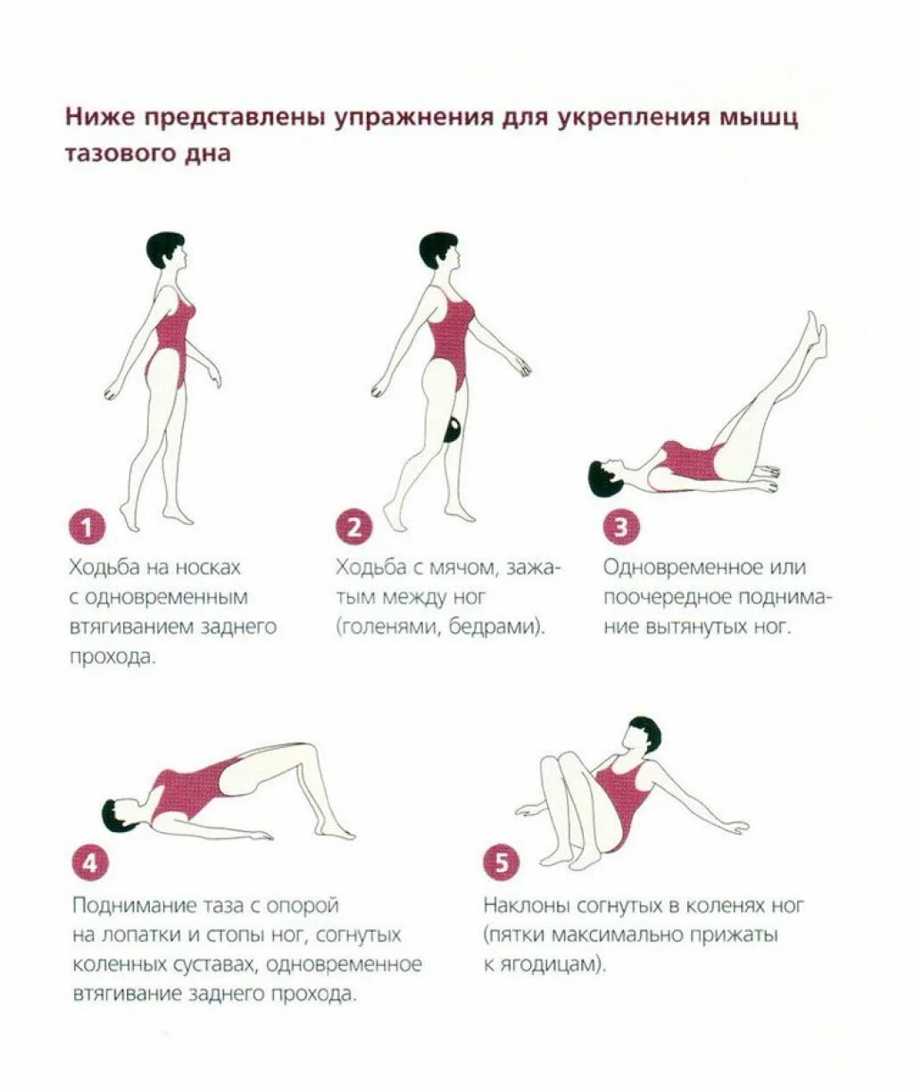 Какие упражнения делать при месячных. Упражнения при опущении матки гимнастика кегеля. упражнения для укрепления тазового дна для женщин при недержании. упражнения кегеля для мышц тазового дна женщин. упражнение кегеля для женщин для укрепления мышц влагалища.