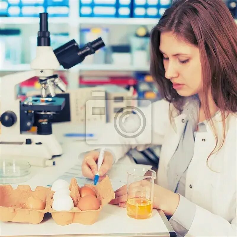 Эталонное качество. Показатели безотказности продукции. Количество и качество труда. Повар общественное питание. Качество продукции презентация.