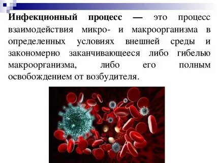 Инфекция попадающая из внешней среды