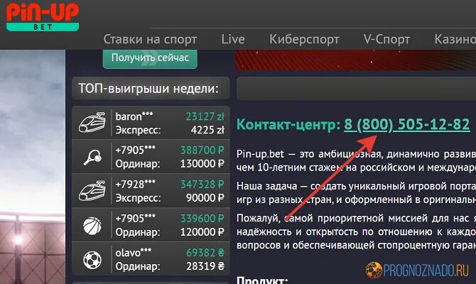 Пин уп casino мобильная версия рабочее зеркало. Pin up казино зеркало рабочее на сегодня. Pin up актуальное рабочее зеркало на сегодня. Pin up Casino зеркало рабочее на сегодня актуальное зеркало. Pin up Casino зеркало рабочее актуальное на сегодня.