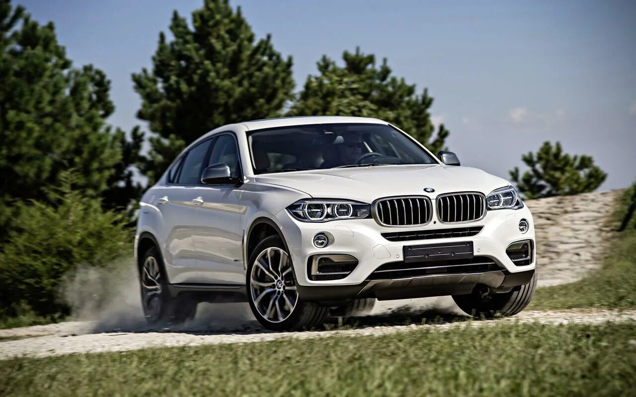 X6 отзывы владельцев. BMW x6 f16. БМВ х6 2017. БМВ х6 2014. БМВ кроссовер х6.