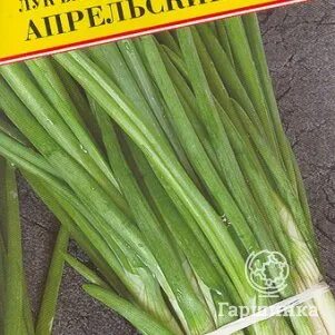 Семена гаршинка интернет. Семена гаршинка интернет