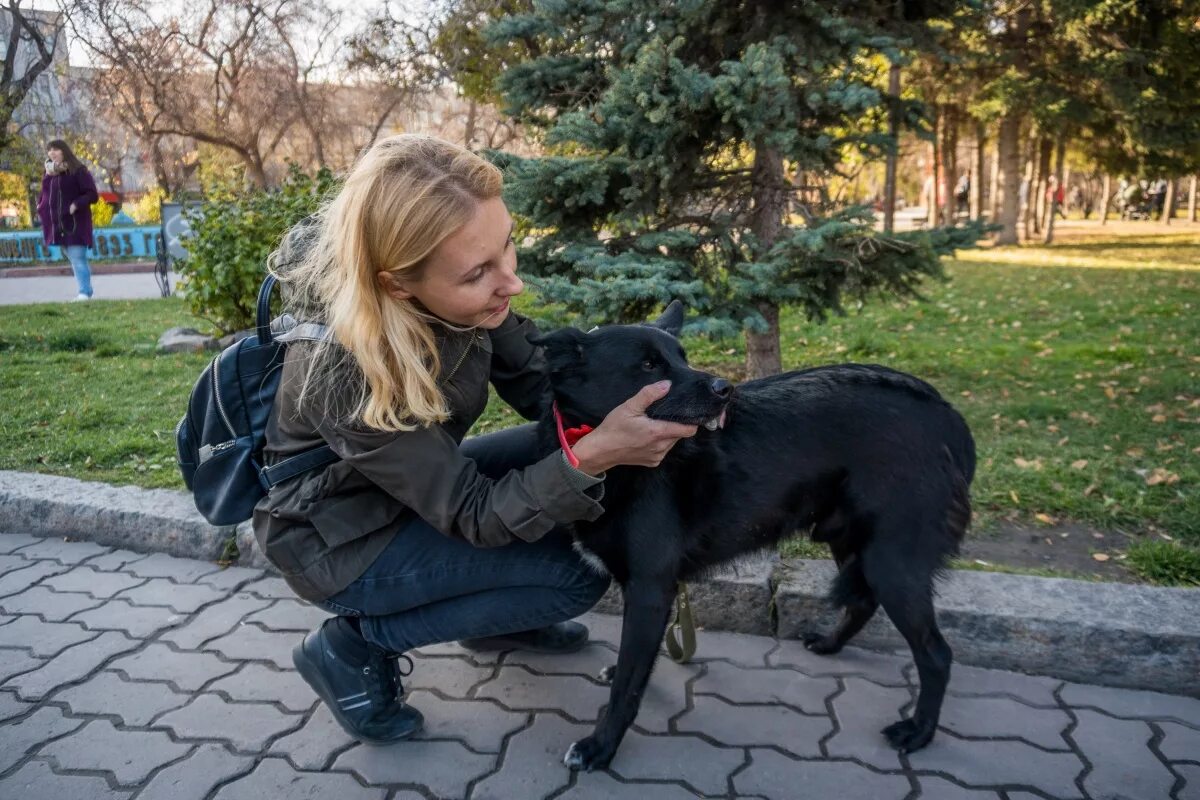 Школьнице понравилось с собакой. Нгс лове