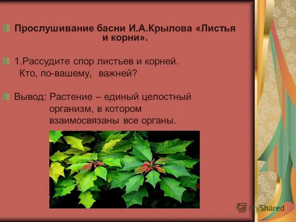 Листья басня Крылова листья и корни. Басня листок и корни. Презентация на тему лист. Листы и корни басня Крылова.