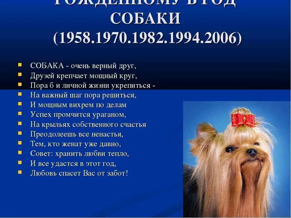 Год собаки история. Года собаки по гороскопу. Год рождения собака по гороскопу. Восточный гороскоп по годам собака. Рождённые в год собаки.