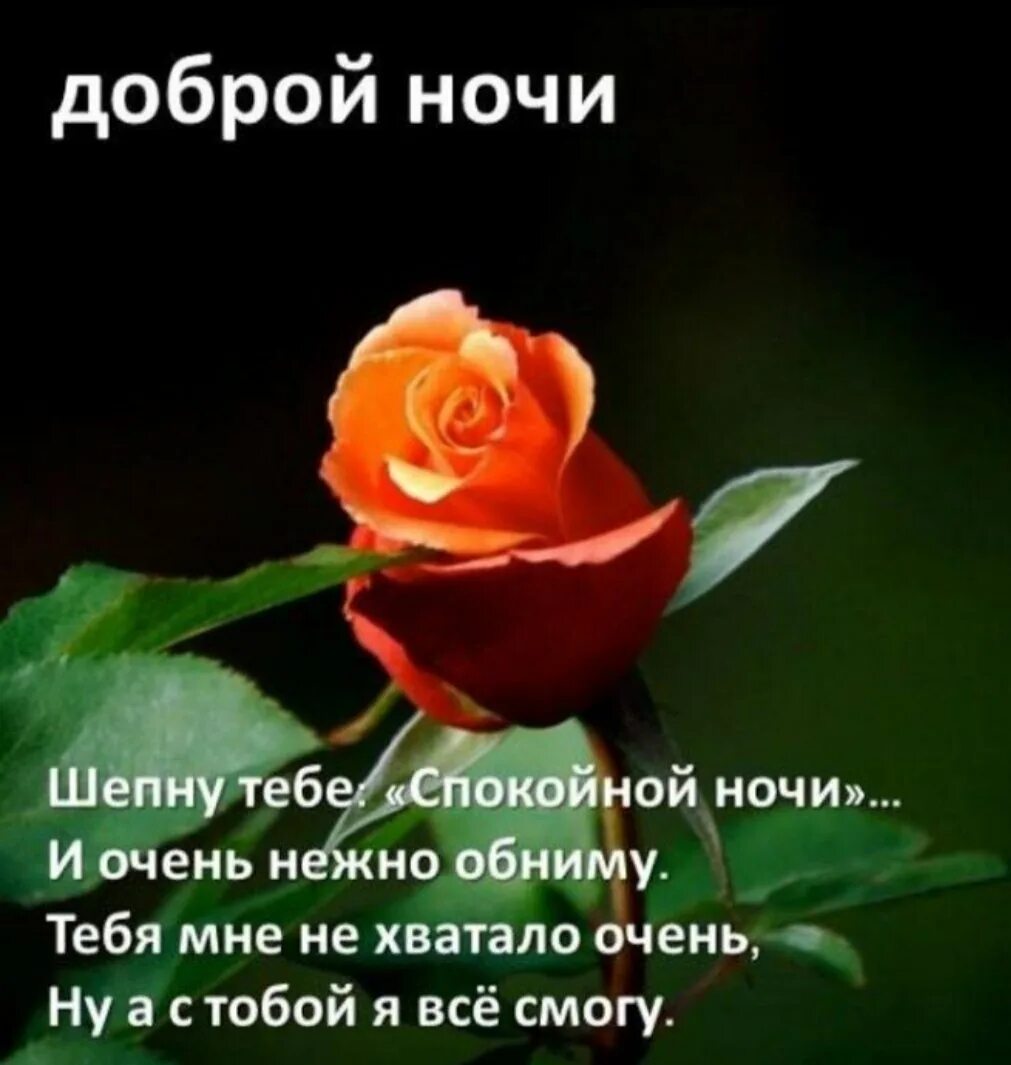 Красивых снов дорогой: найдено 80 изображений