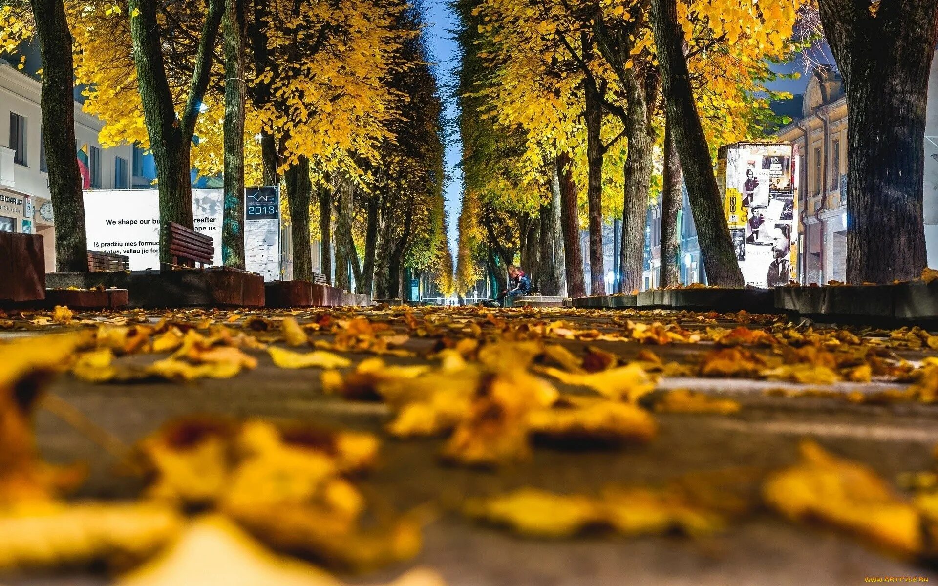 Улица золотистая. Осень в городе. Осенний город. Золотая осень в городе. Осенняя улица.
