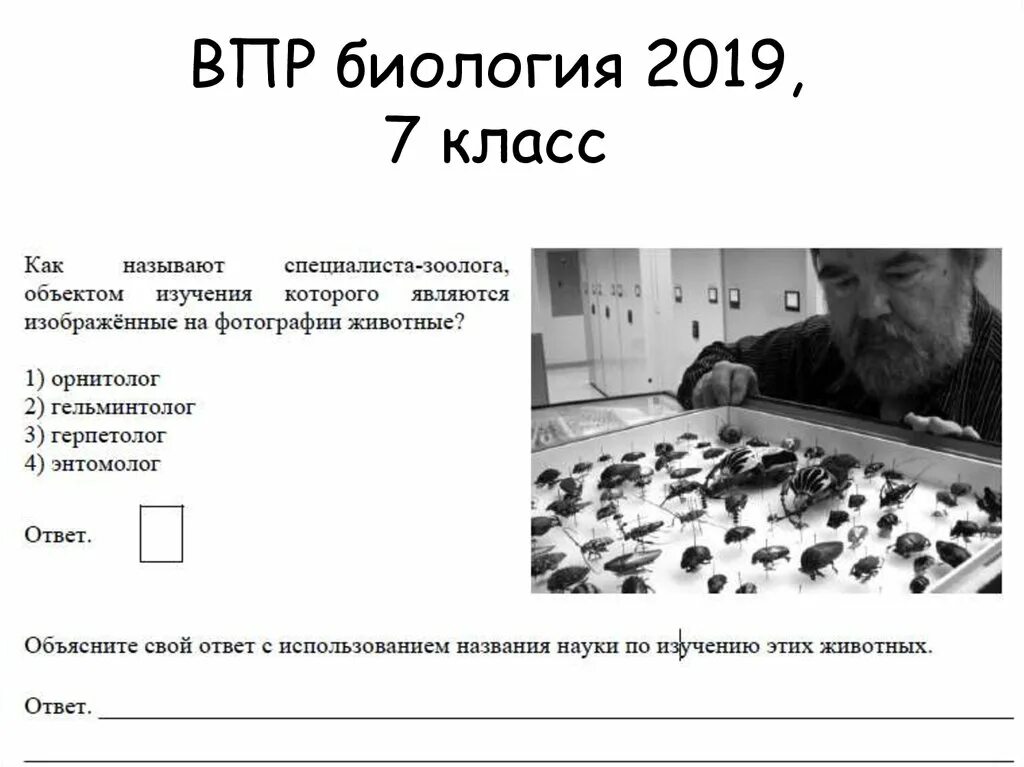 Впр класс ру биология 7 класс. Как называют специалиста зоолого объектов изучения. ВПР биология. Названия специалистов зоологов. ВПР биология зоолог.