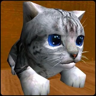Pocket 3d