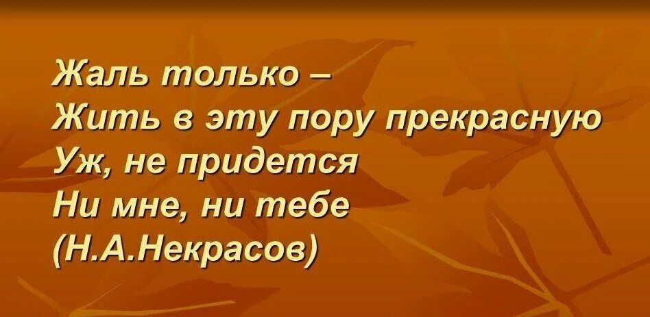 Жалко что я не вижу. Только жаль в эту пору прекрасную. Жаль что в эту пору прекрасную жить не придется ни мне ни тебе. Жаль только жить в эту пору прекрасную уж не. Слова Некрасова жаль только жить в эту пору прекрасную.