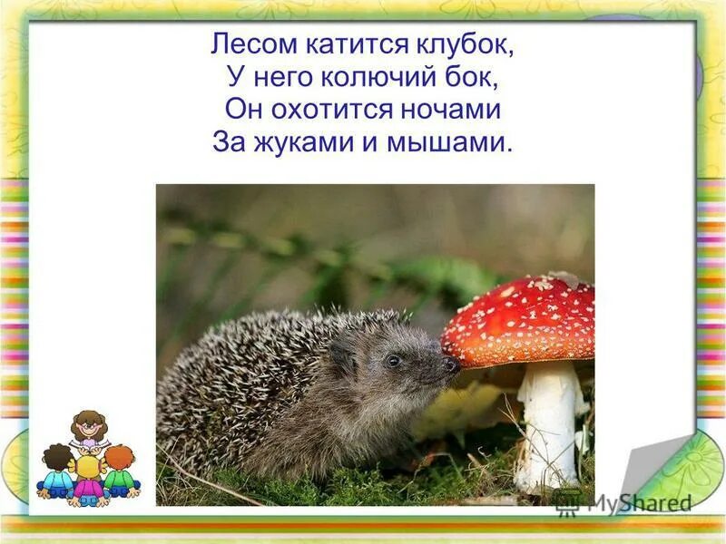 Переносное значение слова колючий еж. Переносное значение слова колючий еж