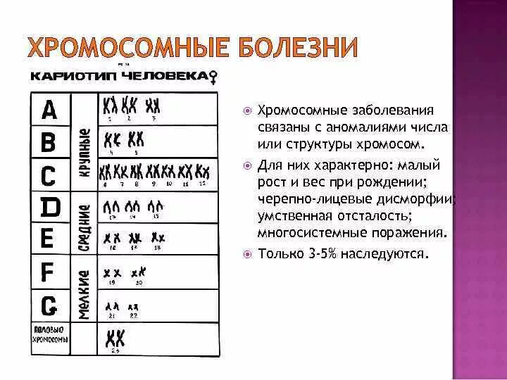 С изменением структуры хромосом связаны