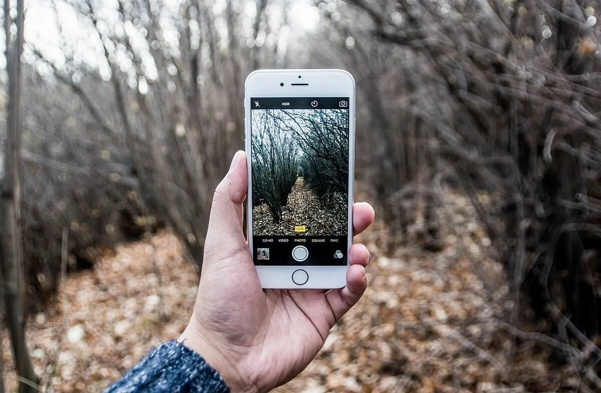 Телефон по улице и дому. Фотографирует на телефон. Смартфон в лесу. Камера 8 МПИКС. Фотографирует на айфон.