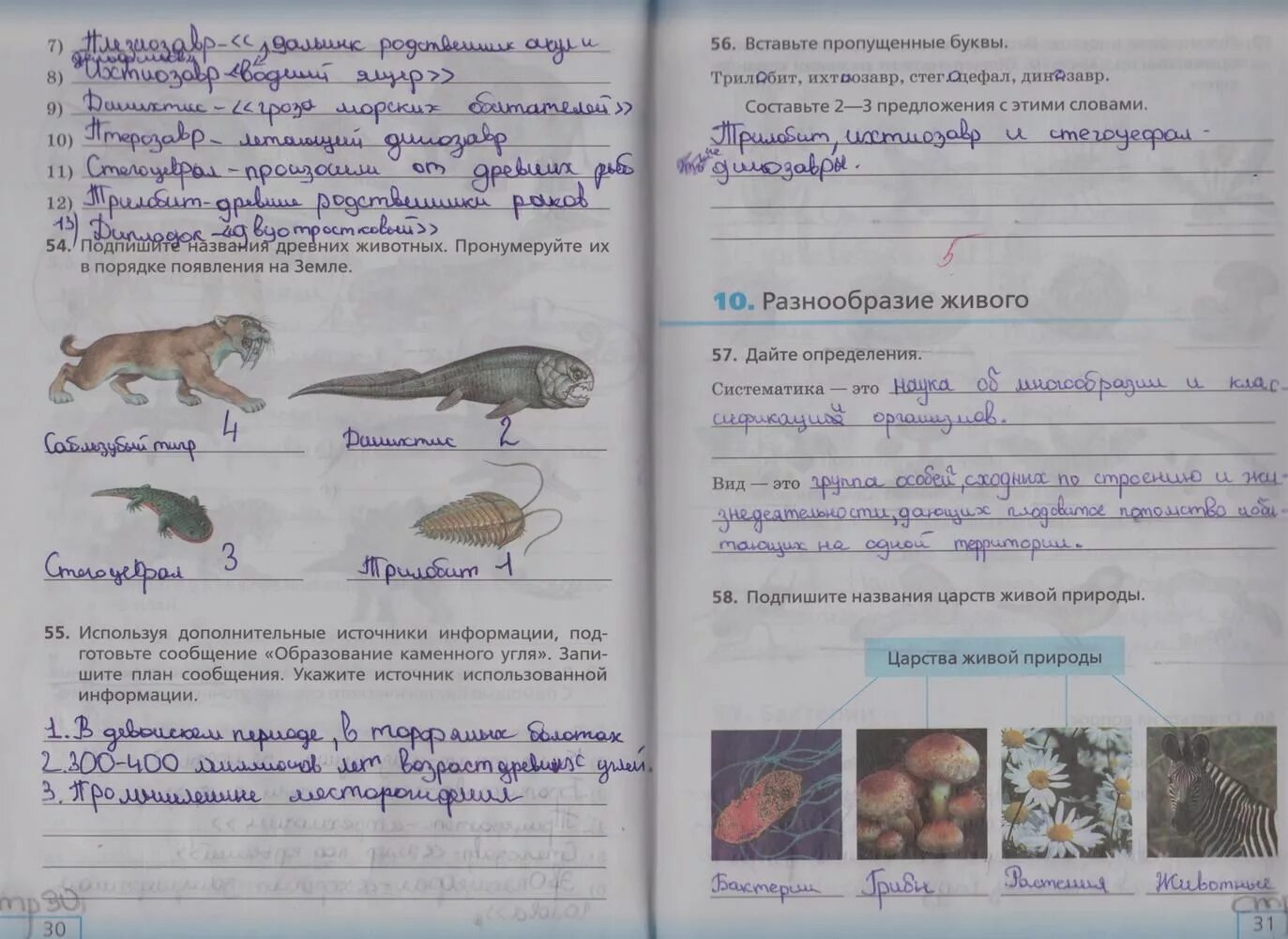 Рабочая тетрадь 5 класс стр 59. Тетрадь у учебнику биологии Сонина 5 класс. Биология 5 класс рабочая тетрадь Сонин. Рабочая тетрадь по биологии 5 класс Плешаков Сонин. Биология 5 класс рабочая тетрадь стр 31.