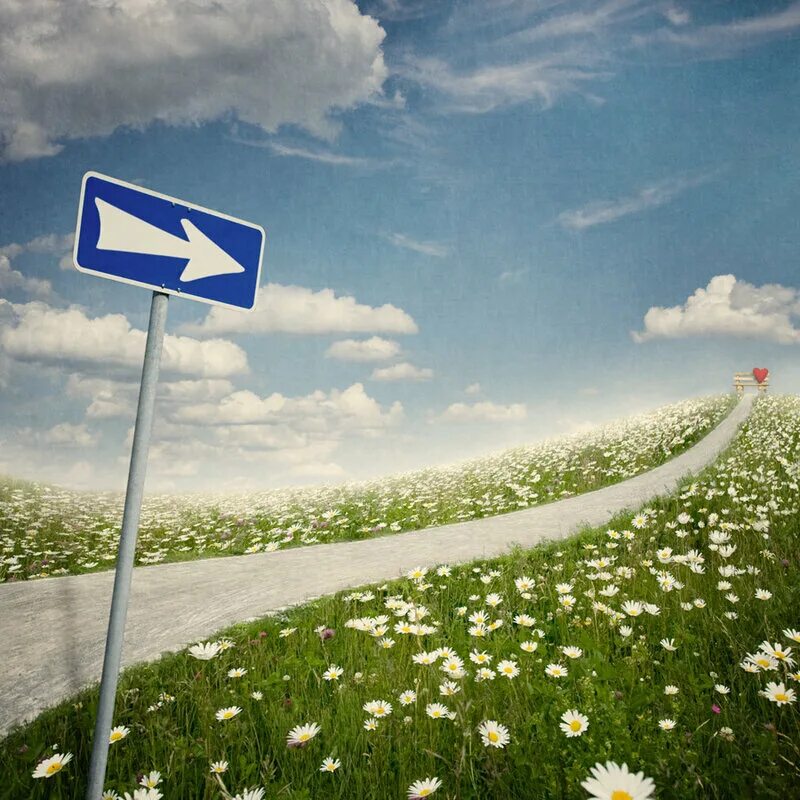 Ладонь девушки. Счастливые знаки судьбы. Выбор жизненного пути. Счастливые знаки судьбы. Счастливые знаки судьбы.