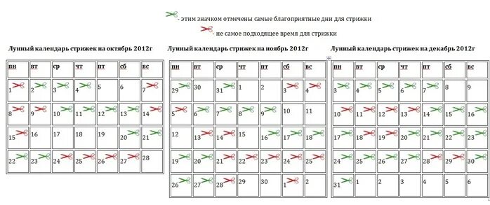 Удачные дни для стрижки волос 2023