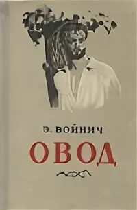 Рассказ сергея овода навигатор. Войнович Овод.