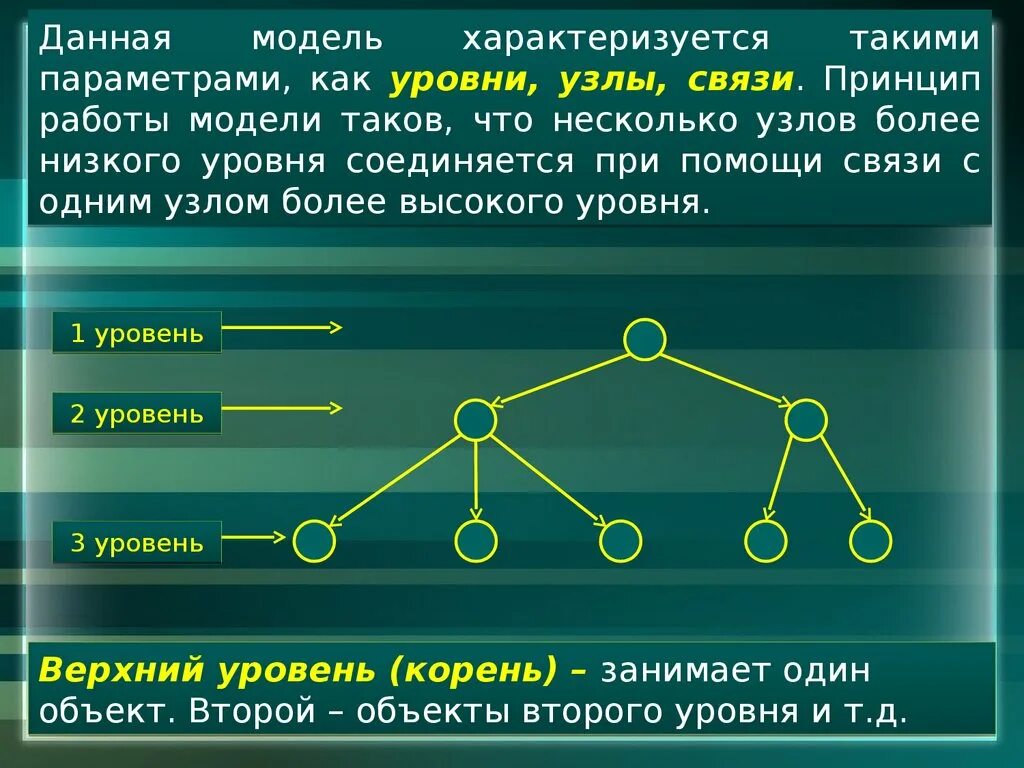 Иерархическая и сетевая модели данных. Иерархическая модель сетевая модель. Иерархической модели данных сетевой модели данных. Недостатки сетевой модели данных.