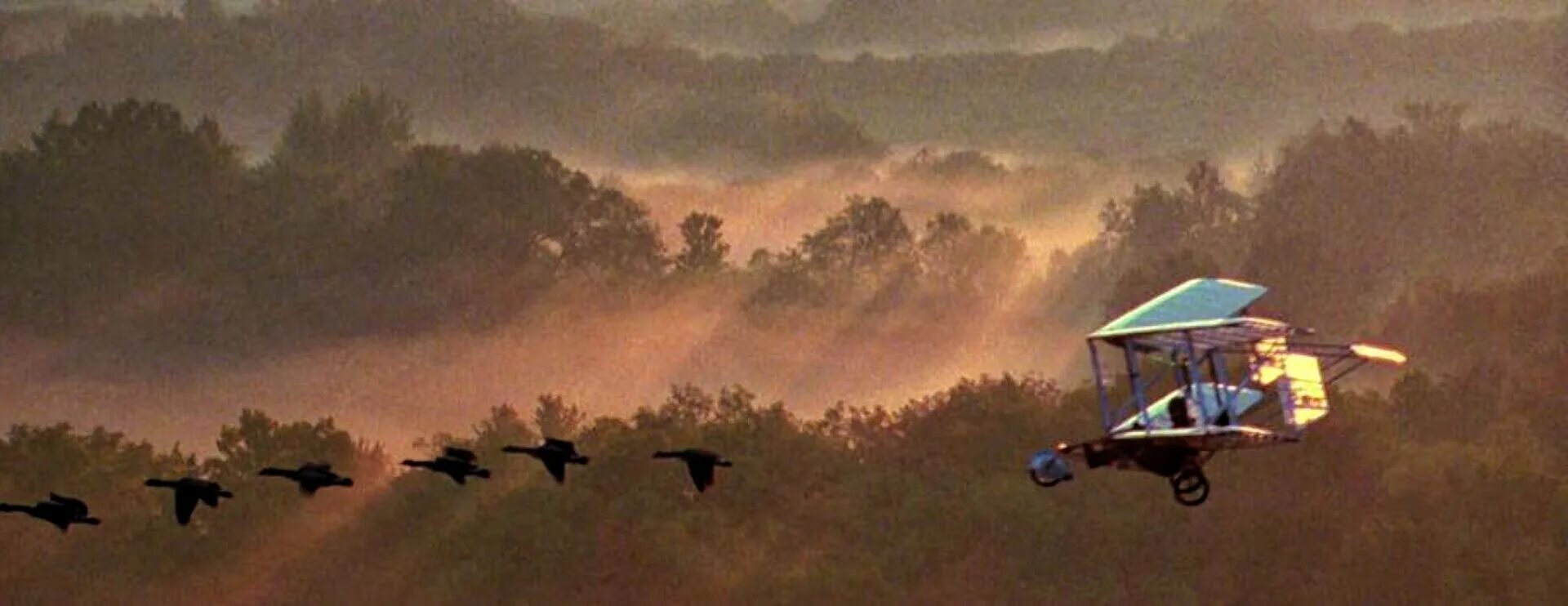 Груз летит домой на тюльпане песня. Fly away home 1996. летим домой.