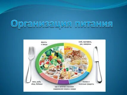 Питание детей 5 11 классов
