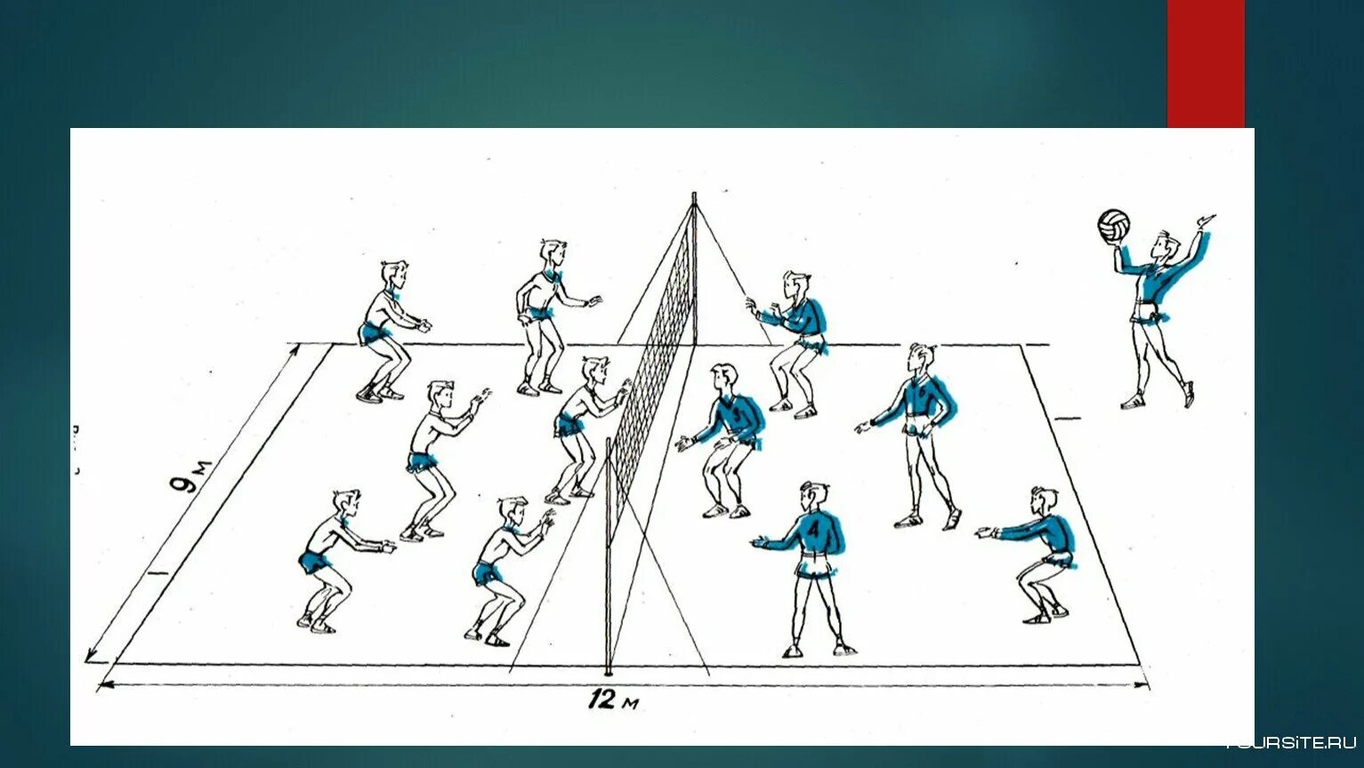 Сколько человек на площадке в волейбольной команде. Расстановка игроков на поле в волейболе. Схема игры в волейбол. Расстановка игроков в пионерболе схема. Расположение игроков в волейболе на площадке.