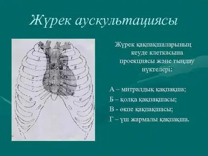 Пенис пен түкті пабисті қараңыз